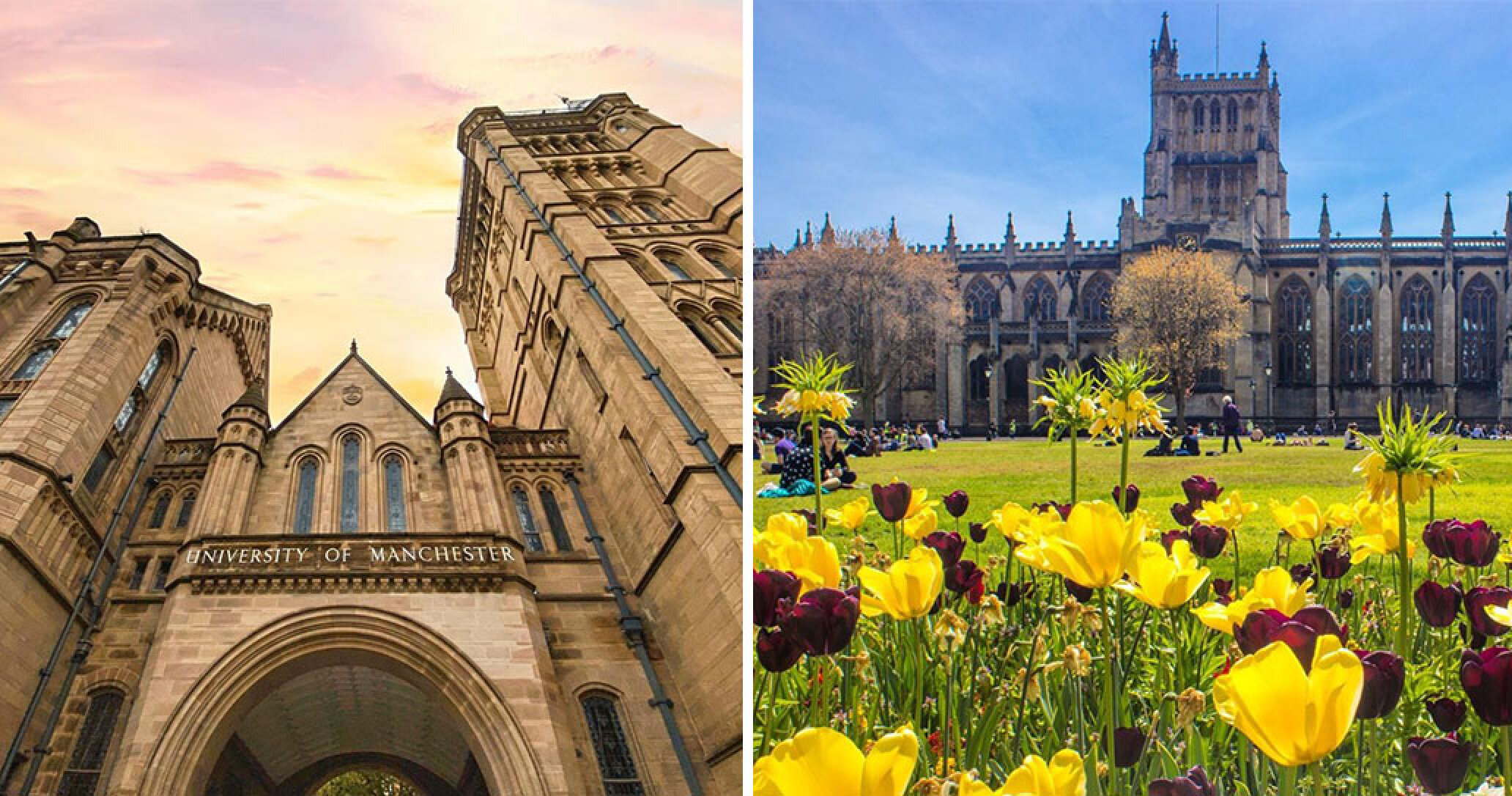 These UK universities have been ranked the best in the world GradTouch These UK universities have been ranked the best in the world GradTouch